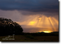 Morning over Pacific